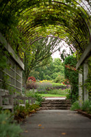 "Enter the Garden"