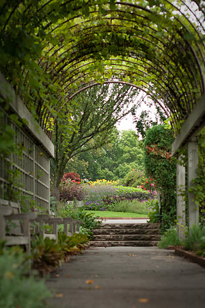 "Enter the Garden"