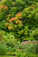 Recently Added Photos