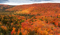 Autumn Tapestry